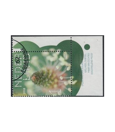 3641 Beleef de natuur Smalle Weegbree (o) TAB c