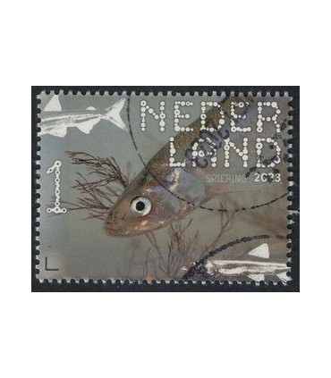 4082 Beleef de natuur Spiering (o)