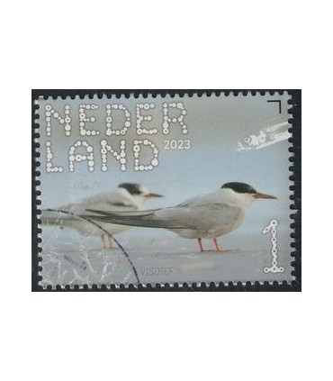 4081 Beleef de natuur Visdief (o)