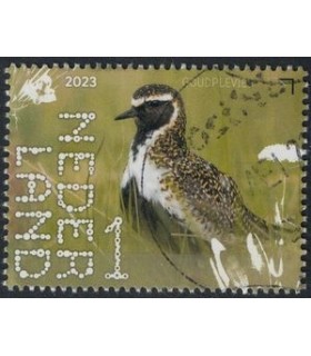 4089 Beleef de natuur Goud Plevier (o)