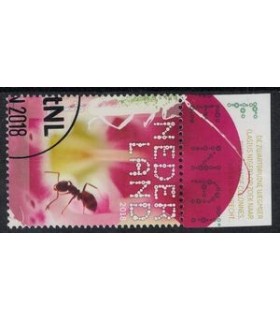 3661 Beleef de natuur Lasius Niger (o) TAB c