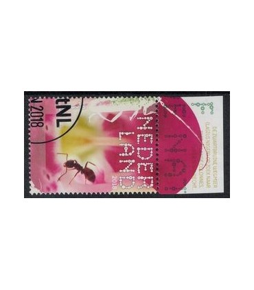 3661 Beleef de natuur Lasius Niger (o) TAB c