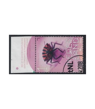 3659 Beleef de natuur Graphasoma (o) TAB