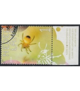 3665 Beleef de natuur Araneus (o) TAB c