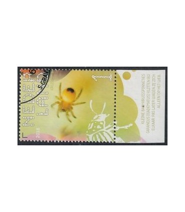 3665 Beleef de natuur Araneus (o) TAB c