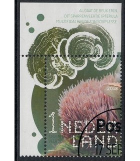 3684 Beleef de natuur Sparrenveertje (o) TAB c