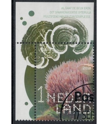 3684 Beleef de natuur Sparrenveertje (o) TAB c