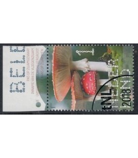 3685 Beleef de natuur Vliegenzwam (o) TAB c