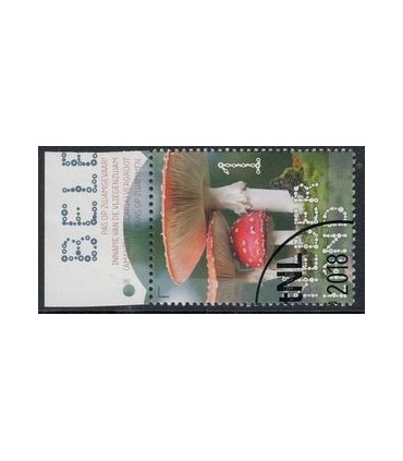 3685 Beleef de natuur Vliegenzwam (o) TAB c