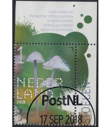 3688 Beleef de natuur Knopschimmel (o) TAB