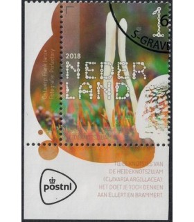 3689 Beleef de natuur Heideknotzwam (o) TAB c