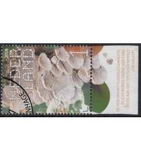 3690 Beleef de natuur Plooivlies (o) TAB