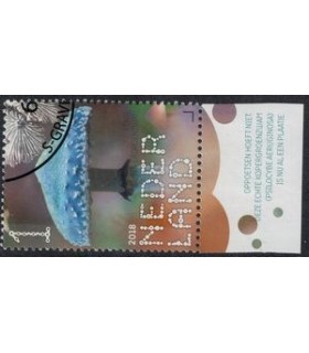 3691 Beleef de natuur Kopergroenzwam (o) TAB c