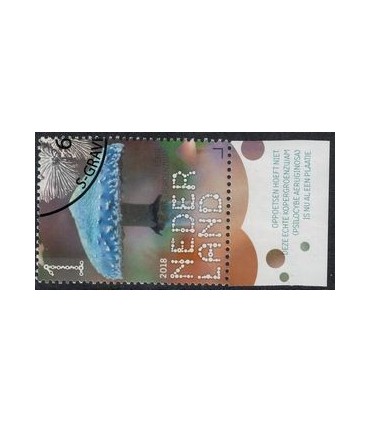 3691 Beleef de natuur Kopergroenzwam (o) TAB c