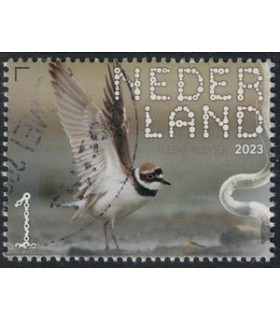 4079 Beleef de natuur Kleine Plevier (o)