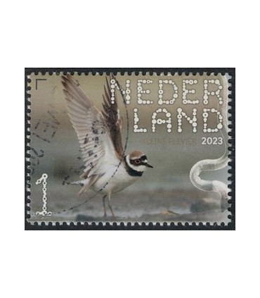 4079 Beleef de natuur Kleine Plevier (o)