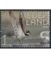 4079 Beleef de natuur Kleine Plevier (o)