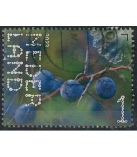 4116 Beleef de natuur Sleedoorn (o)