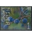 4116 Beleef de natuur Sleedoorn (o)