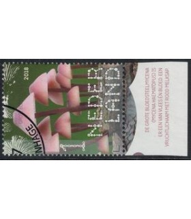 3692 Beleef de natuur Bloedsteelmychena (o) TAB