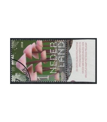 3692 Beleef de natuur Bloedsteelmychena (o) TAB