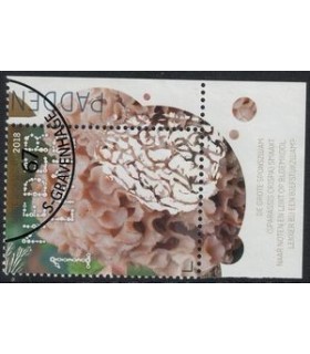 3693 Beleef de natuur Sponszwam (o) TAB c