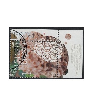 3693 Beleef de natuur Sponszwam (o) TAB c