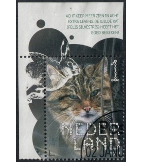 3711 Beleef de natuur de Wilde Kat (o) TAB c