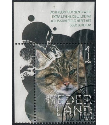 3711 Beleef de natuur de Wilde Kat (o) TAB c
