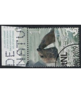 3714 Beleef de natuur Zeehond (o) TAB c
