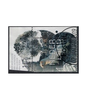 3715 Beleef de natuur Hermelijn (o) TAB c