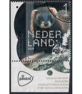 3716 Beleef de natuur Bunzing (o) TAB c