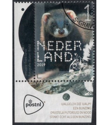 3716 Beleef de natuur Bunzing (o) TAB c