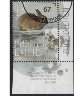 3720 Beleef de natuur Konijnen (o) TAB c