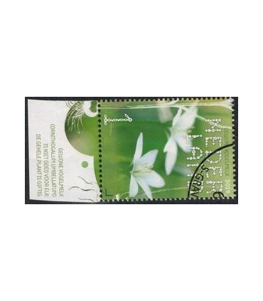 3733 Beleef de natuur Gewone vogelmelk (o) TAB c