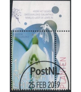 3730 Beleef de natuur Sneeuwklokje (o) TAB c