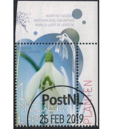 3730 Beleef de natuur Sneeuwklokje (o) TAB c