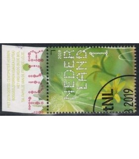 3729 Beleef de natuur Bosgeelsterren (o) TAB c