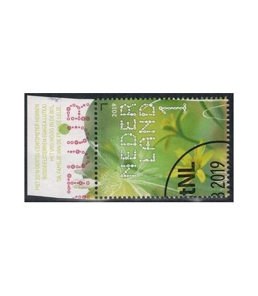 3729 Beleef de natuur Bosgeelsterren (o) TAB c