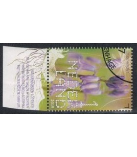 3734 Beleef de natuur Hyacinten (o) TAB c