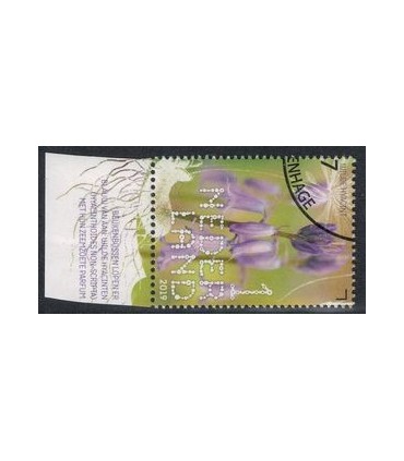 3734 Beleef de natuur Hyacinten (o) TAB c