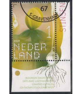 3735 Beleef de natuur Winterakoniet (o) TAB