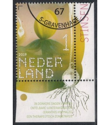 3735 Beleef de natuur Winterakoniet (o) TAB c