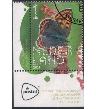 3754 Beleef de natuur Vuurvlinder (o) TAB c