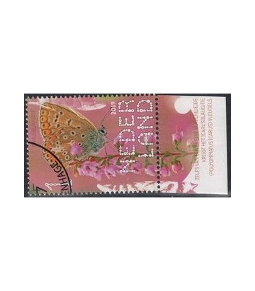 3755 Beleef de natuur Icarusblauwtje (o) TAB c