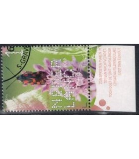 3756 Beleef de natuur Sint-Jansvlinder (o) TAB c