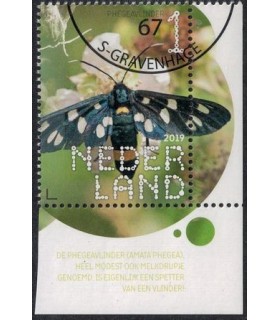 3758 Beleef de natuur Phegeavlinder (o) TAB c