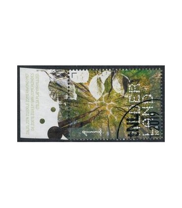 3777 Beleef de natuur zomerlinde (o) TAB