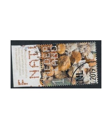 3779 Beleef de natuur Populier (o) TAB c