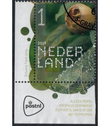 3781 Beleef de natuur Mispel (o) TAB c